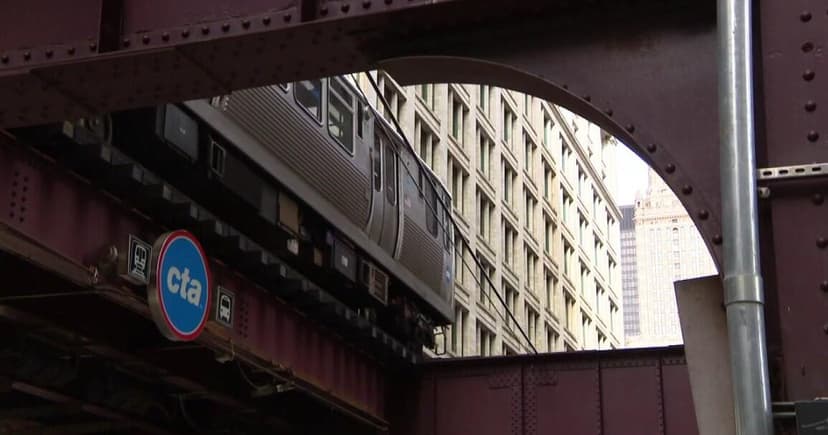Tourist Attacked on CTA Red Line Speaks Out