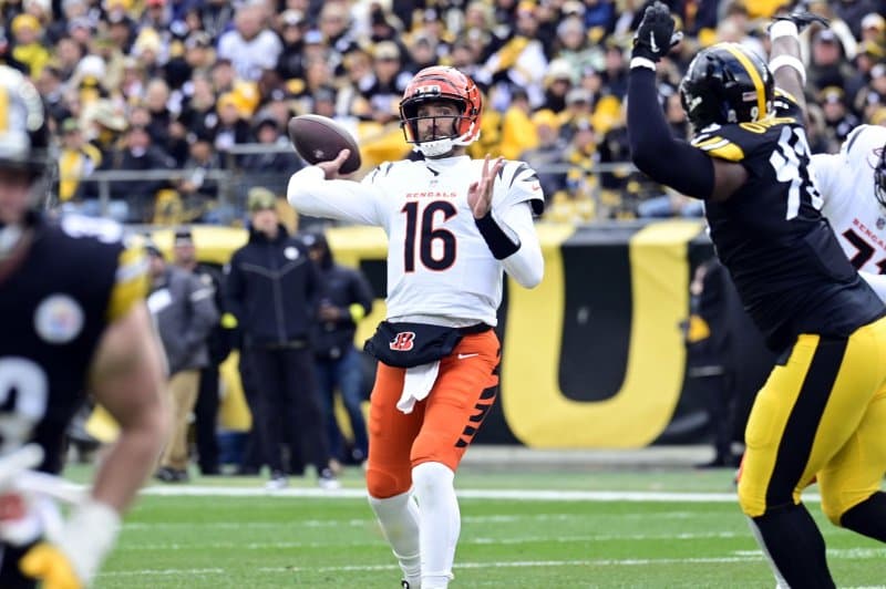 Flacco Returns to Bengals for Another Season