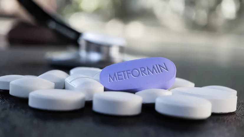 Brain Cells Key to Metformin's Diabetes Power