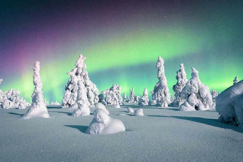 Aurora Alert: Northern Lights Visible Tonight!
